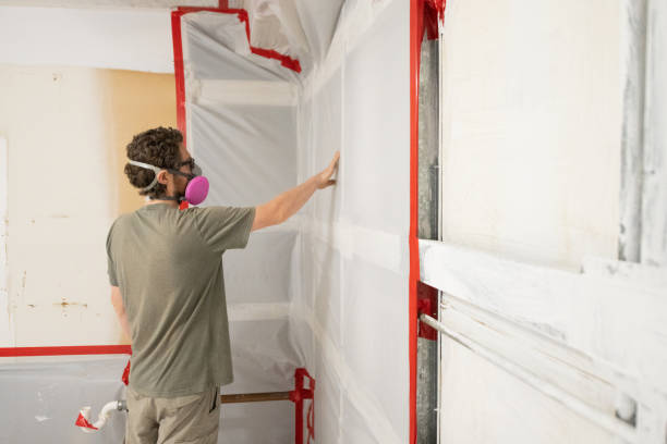 Trusted Midland, NC Mold Removal Experts