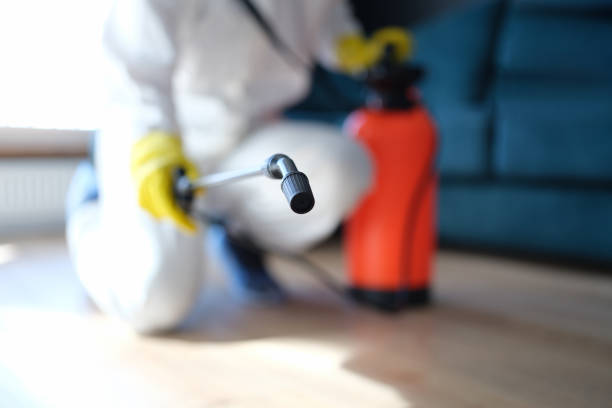 Mold Removal for HVAC Installations