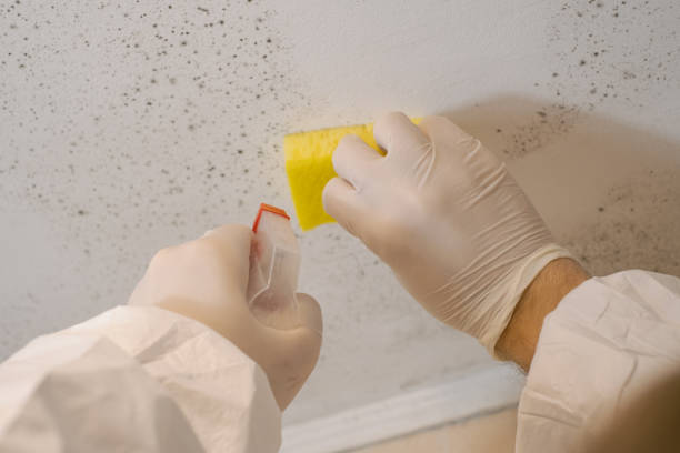 Best Residential Mold Inspection & Testing  in Midland, NC